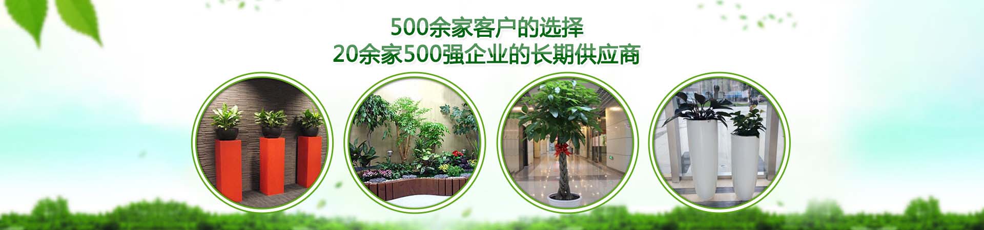 重庆绿植租赁公司