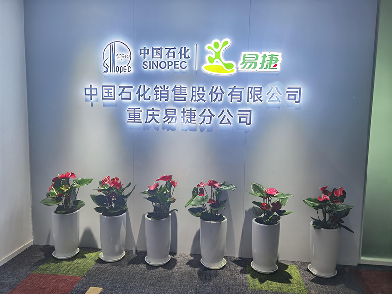 中石化易捷分公司植物租赁案例
